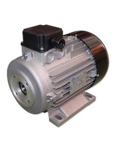 MOTOR 3 CV E/H 3-230/400V 1.450 RPM Ø.24 mm 100M